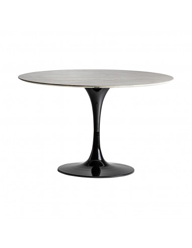 MESA COMEDOR SANKT