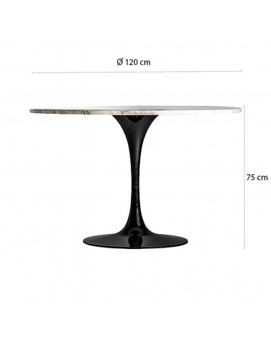 MESA COMEDOR SANKT