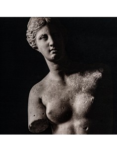 LIENZO FIDIA