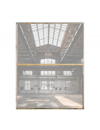 LIENZO ASHED