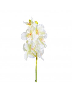 FLOR AZAHAR